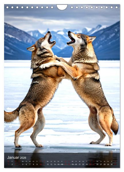 Produktbild: Der Wolf - Sehnsucht Freiheit Kraft (Wandkalender 2026 DIN A4 hoch), CALVENDO Monatskalender
