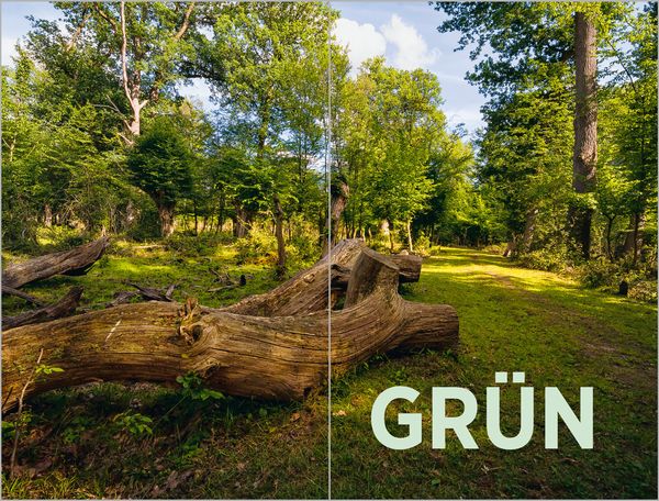 Aufbäumen gegen die Dürre