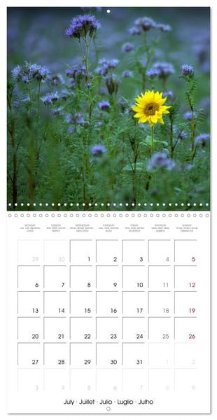 Produktbild: Les couleurs de la Vienne (Calendrier mural carr&eacute; 2026 30x30 cm) Calendrier double avec une page pour vos prises de notes