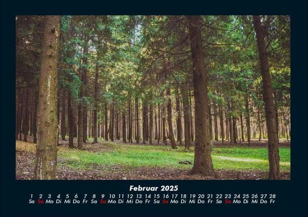 Produktbild: B&auml;ume 2025 Fotokalender DIN A4