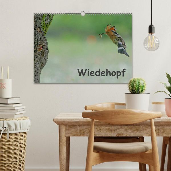 Produktbild: Wiedehopf (Wandkalender 2026 DIN A3 quer), CALVENDO Monatskalender