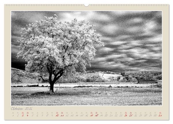Produktbild: Toskana - Pisa und seine Umgebung (hochwertiger Premium Wandkalender 2026 DIN A2 quer), Kunstdruck in Hochglanz