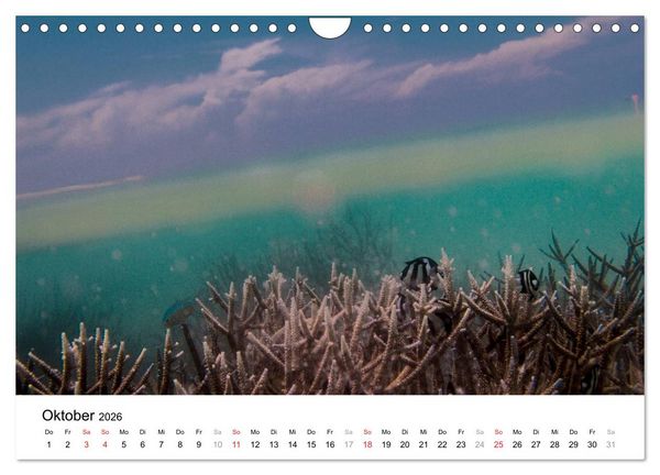 Produktbild: Unterwasserwelt der Malediven I (Wandkalender 2026 DIN A4 quer), CALVENDO Monatskalender