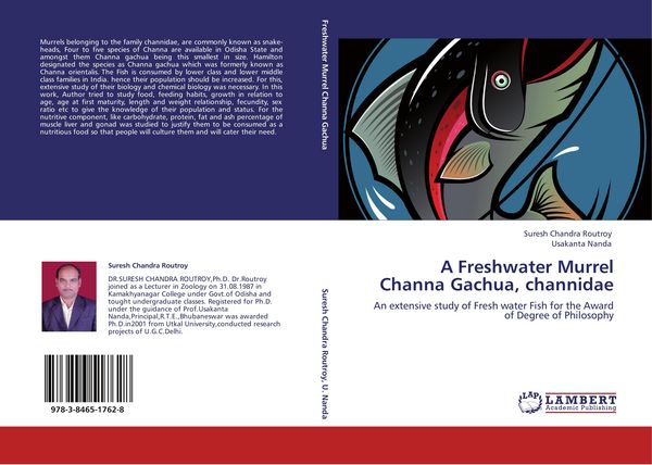 Produktbild: A Freshwater Murrel Channa Gachua, channidae