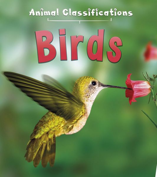 Produktbild: Birds