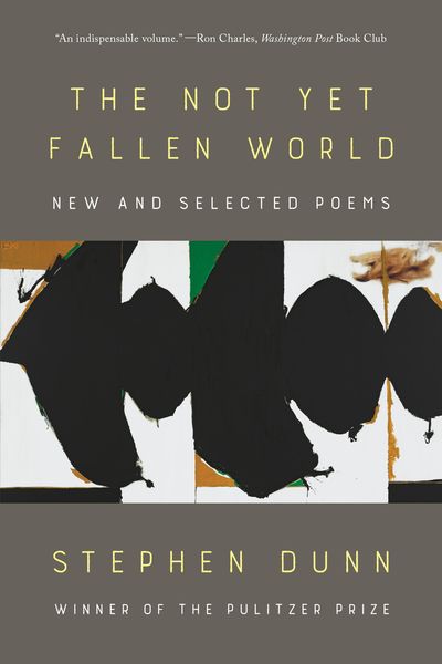 Produktbild: The Not Yet Fallen World
