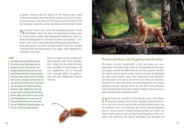 Produktbild: Waldsamkeit
