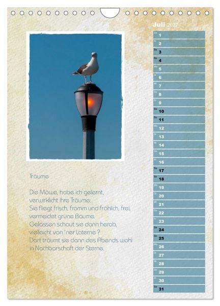Produktbild: Wenn alle M&ouml;wen Emma hie&szlig;en... (Wandkalender 2027 DIN A4 hoch), CALVENDO Monatskalender