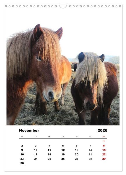 Produktbild: Bauernhoftiere, ganz nah dran (Wandkalender 2026 DIN A3 hoch), CALVENDO Monatskalender