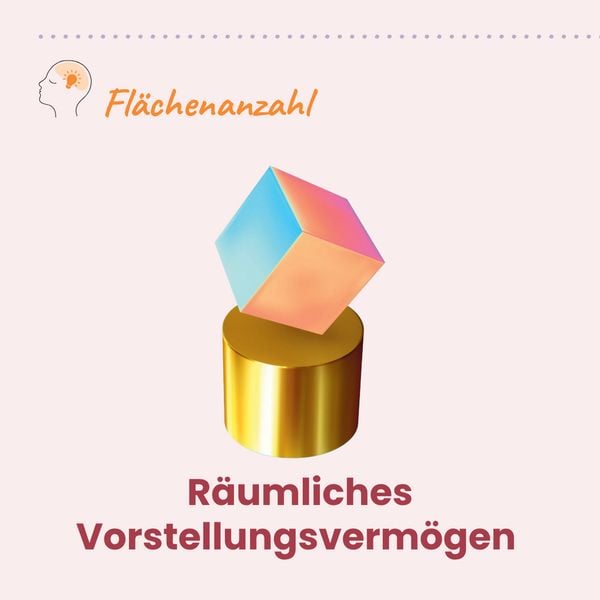 Produktbild: Gehirnjogging &ndash; Trainingsbuch: Logik und R&auml;umliches Denken