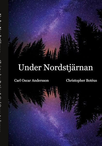 Produktbild: Under Nordstj&auml;rnan