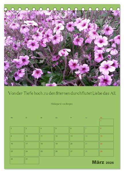 Produktbild: Erkenntnis und Weisheit - Hildegard von Bingen (Tischkalender 2026 DIN A5 hoch), CALVENDO Monatskalender