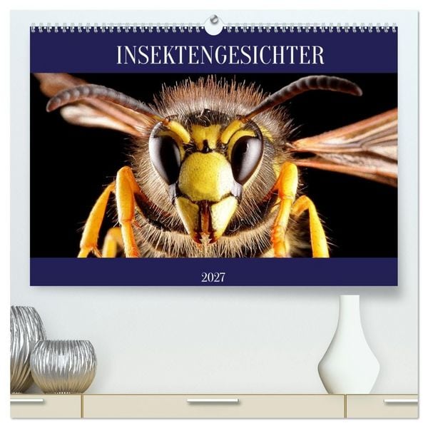 Produktbild: INSEKTENGESICHTER (hochwertiger Premium Wandkalender 2027 DIN A2 quer), Kunstdruck in Hochglanz