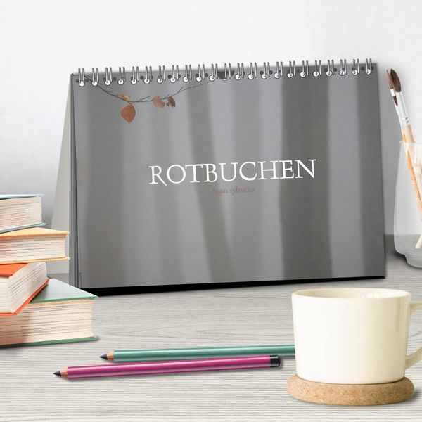 Produktbild: Rotbuchen (Tischkalender 2026 DIN A5 quer), CALVENDO Monatskalender
