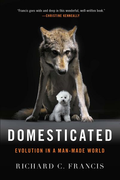 Produktbild: Domesticated