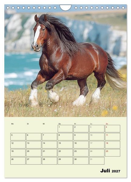 Produktbild: Shire Horse Magie. Englands sanfte Giganten (Wandkalender 2027 DIN A4 hoch), CALVENDO Monatskalender
