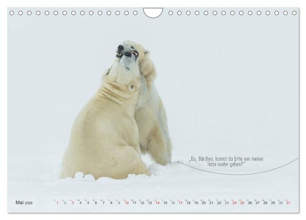 Produktbild: Emotionale Momente: Eisb&auml;ren - ganz menschlich gesehen. (Wandkalender 2026 DIN A4 quer), CALVENDO Monatskalender
