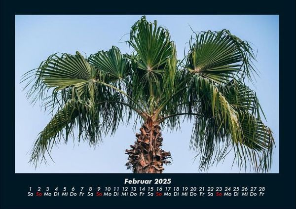 Produktbild: Palmentraum 2025 Fotokalender DIN A4