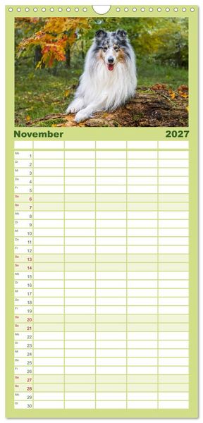 Produktbild: Familienplaner 2027 - Traumhund Collie - Mein bester Freund mit 5 Spalten (Wandkalender, 21 x 45 cm) CALVENDO