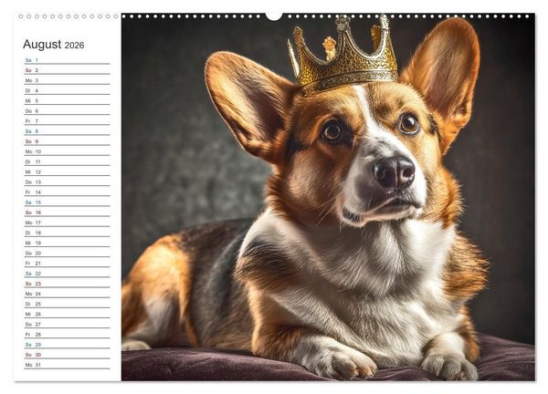 Produktbild: Hundegl&uuml;ck (hochwertiger Premium Wandkalender 2026 DIN A2 quer), Kunstdruck in Hochglanz
