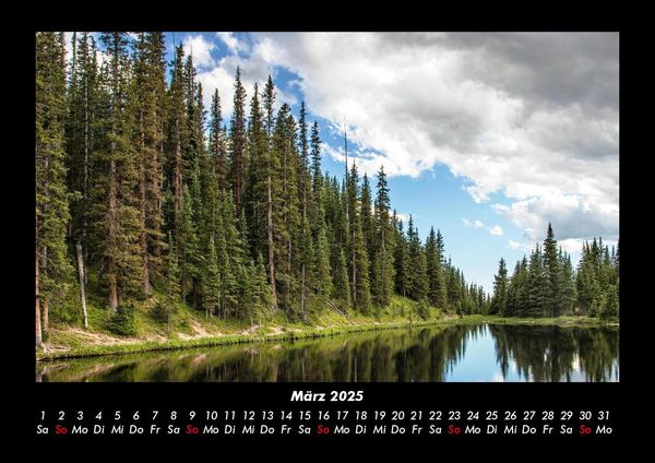 Produktbild: B&auml;ume 2025 Fotokalender DIN A3