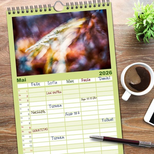 Produktbild: Familienplaner 2026 - Farne vom Licht umtanzt mit 5 Spalten (Wandkalender, 21 x 45 cm) CALVENDO