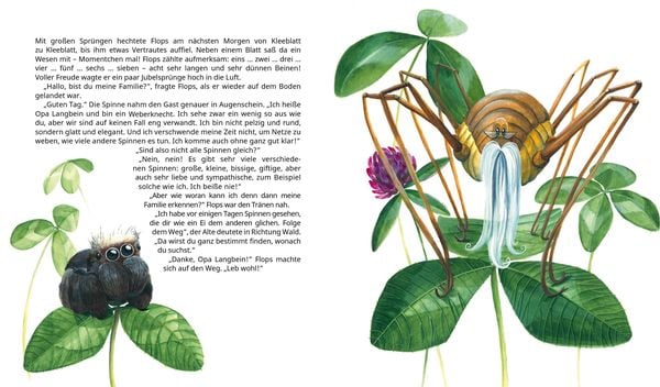 Produktbild: FLOPS, die kleine Spinne