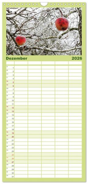 Produktbild: Familienplaner 2026 - Jahreszeiten mit 5 Spalten (Wandkalender, 21 x 45 cm) CALVENDO