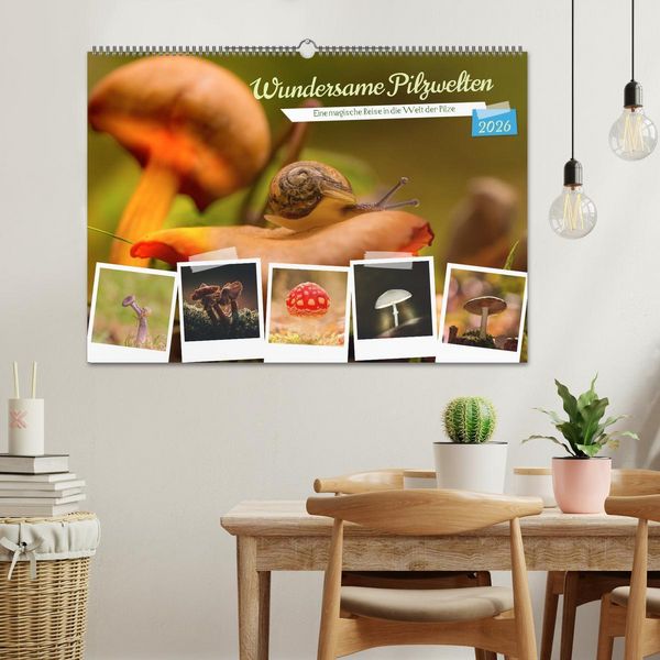 Produktbild: Wundersame Pilzwelten (Wandkalender 2026 DIN A2 quer), CALVENDO Monatskalender