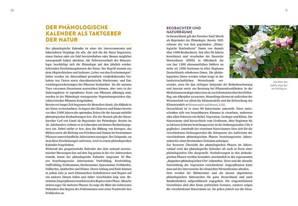Produktbild: Das Bienenjahr