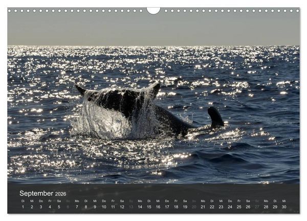 Produktbild: me gusta La Gomera (Wandkalender 2026 DIN A3 quer), CALVENDO Monatskalender
