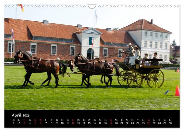 Produktbild: CIAT - Historischer Fahrsport in Celle (Wandkalender 2026 DIN A3 quer), CALVENDO Monatskalender