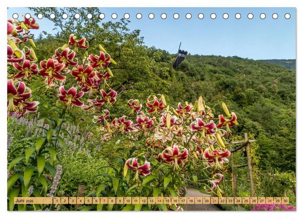 Produktbild: S&uuml;dtirol - Meraner Land (Tischkalender 2026 DIN A5 quer), CALVENDO Monatskalender