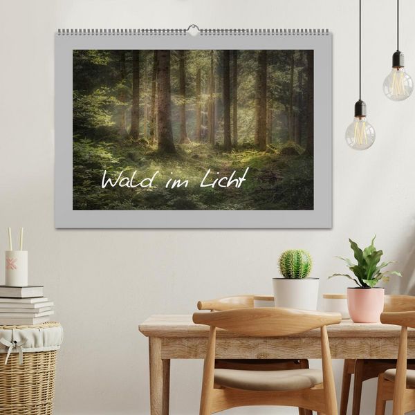 Produktbild: Wald im Licht (Wandkalender 2026 DIN A2 quer), CALVENDO Monatskalender