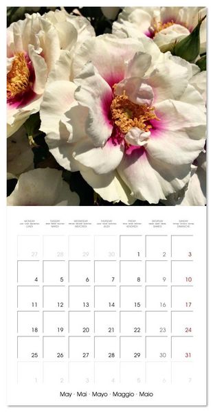 Produktbild: LE PARFUM ENVO&Ucirc;TANT DES ROSES (Calendrier mural carr&eacute; 2026 30x30 cm) Calendrier double avec une page pour vos prises de notes