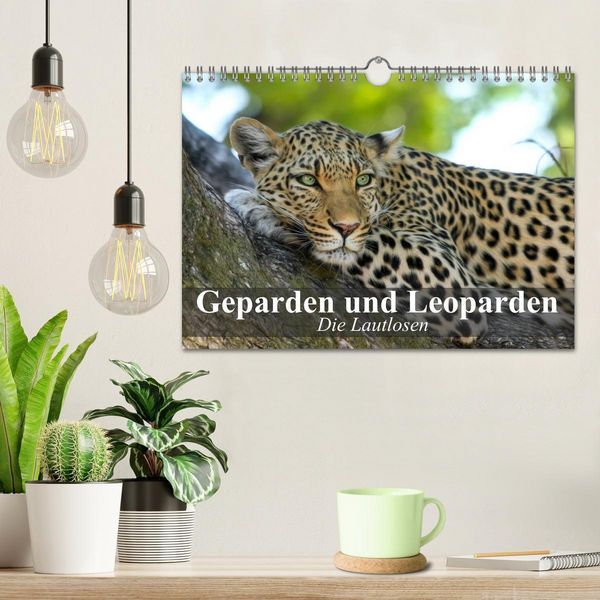 Produktbild: Die Lautlosen. Geparden und Leoparden (Wandkalender 2026 DIN A4 quer), CALVENDO Monatskalender