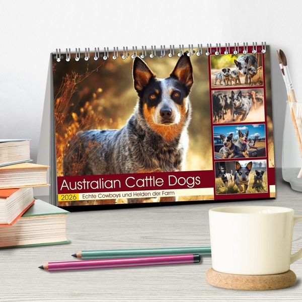 Produktbild: Australian Cattle Dogs. Echte Cowboys und Helden der Farm (Tischkalender 2026 DIN A5 quer), CALVENDO Monatskalender