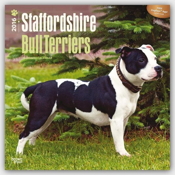 Produktbild: Staffordshire Bull Terriers 2016 - Bull Terrier - 18-Monatskalender mit freier DogDays-App