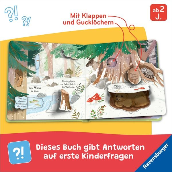Produktbild: Auf Entdeckungstour - Im Wald