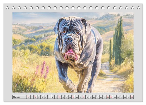 Produktbild: Mastino Napoletano. Die wuchtigen Molosser im Painting-Stil (Tischkalender 2026 DIN A5 quer), CALVENDO Monatskalender