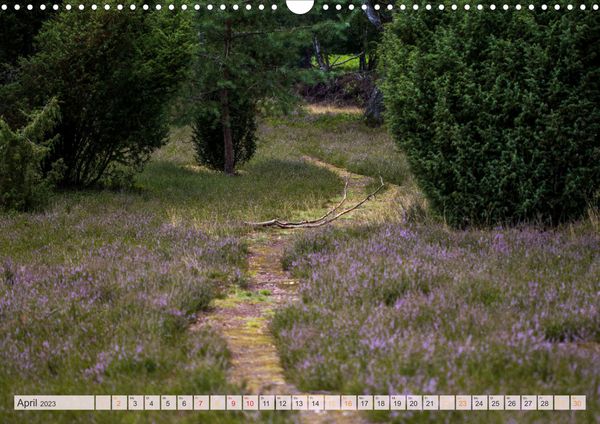 Wunderbare Heidelandschaften (Wandkalender 2023 DIN A3 quer)