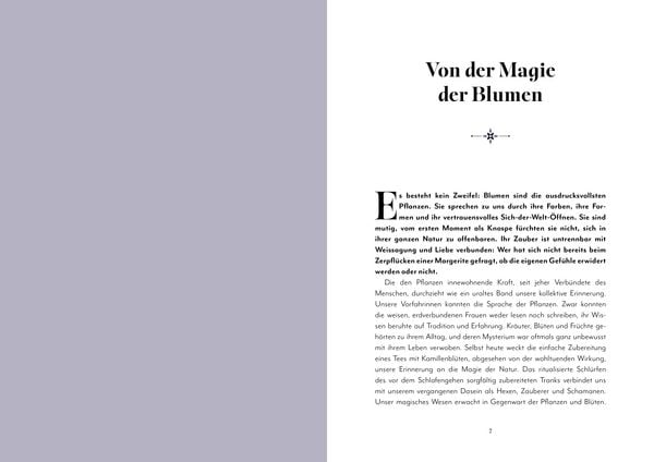 Produktbild: Blumen-Zauber