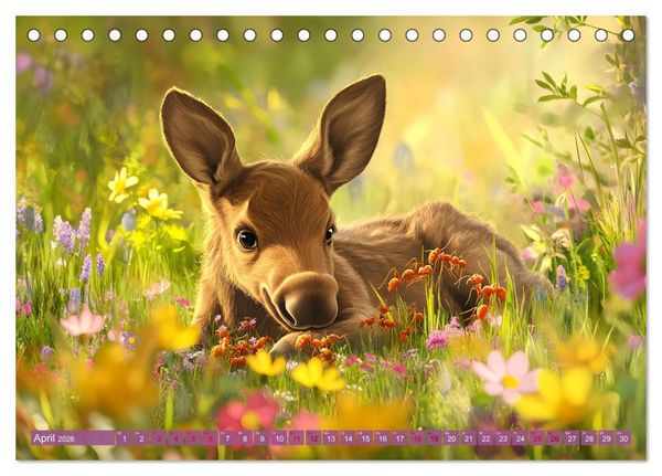 Produktbild: Emil und die Wunder der Natur (Tischkalender 2026 DIN A5 quer), CALVENDO Monatskalender