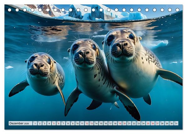 Produktbild: Freche Seehunde (Tischkalender 2026 DIN A5 quer), CALVENDO Monatskalender
