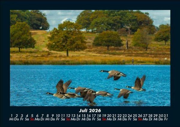 Produktbild: Seeblick 2026 Fotokalender DIN A5