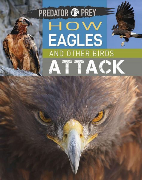 Produktbild: Predator vs Prey: How Eagles and other Birds Attack