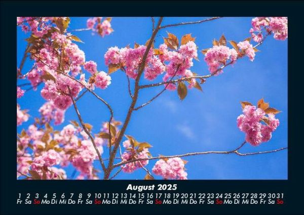 Produktbild: Blumentr&auml;ume 2025 Fotokalender DIN A5