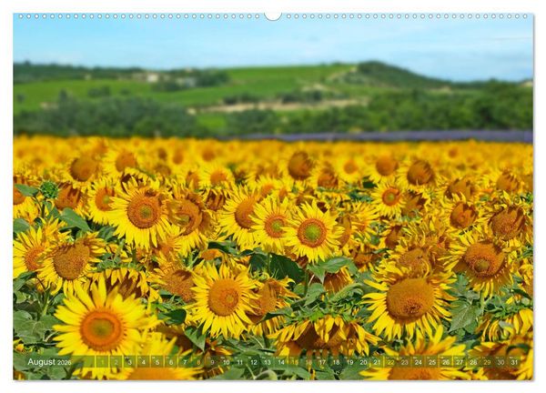 Produktbild: Provence mit allen Sinnen (Wandkalender 2026 DIN A2 quer), CALVENDO Monatskalender