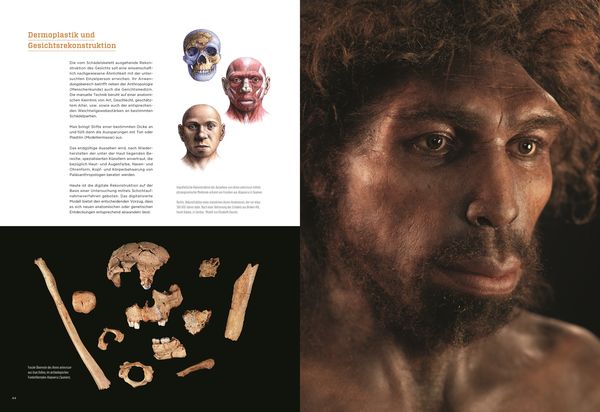 Produktbild: Homo Sapiens