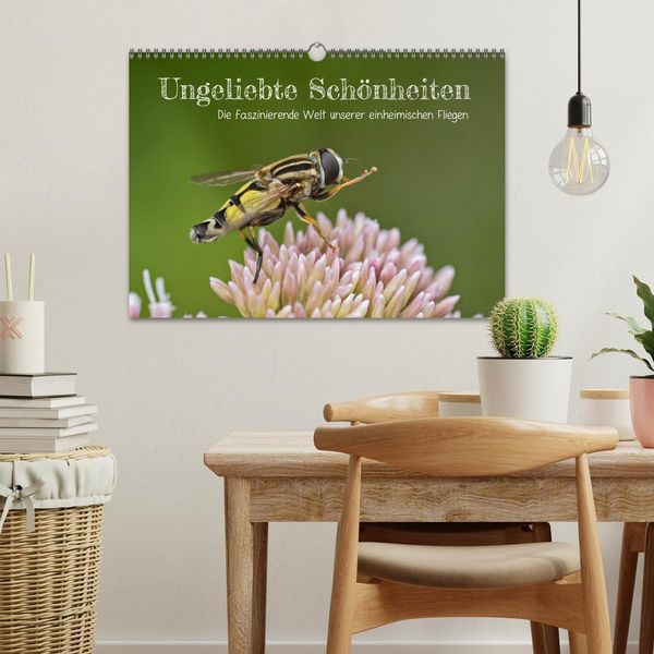Produktbild: Ungeliebte Sch&ouml;nheiten - die faszinierende Welt unserer heimischen Fliegen (Wandkalender 2026 DIN A3 quer), CALVENDO Monatskalender
